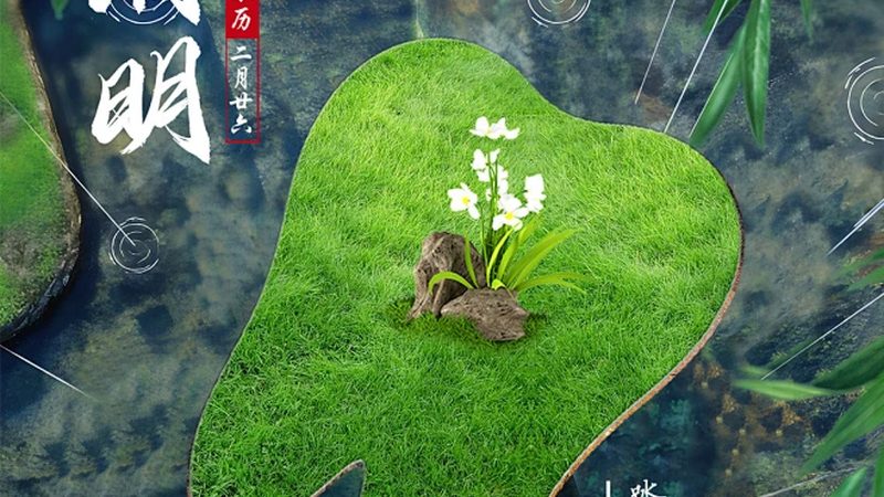 单颗种植牙后邻牙松动，是何原因？**